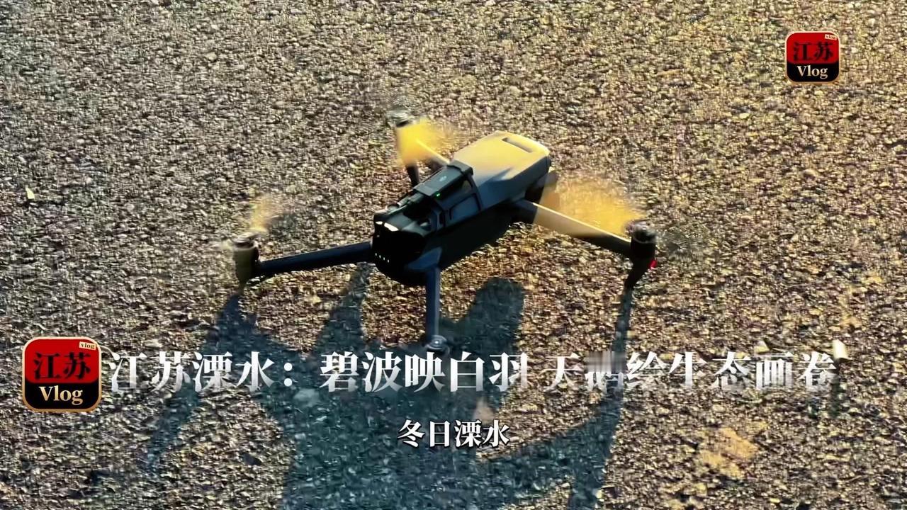 冬日溧水，碧波荡漾间，远方迁徙的天鹅如约而至。洁白的羽翼掠过水面，引颈长鸣时，整