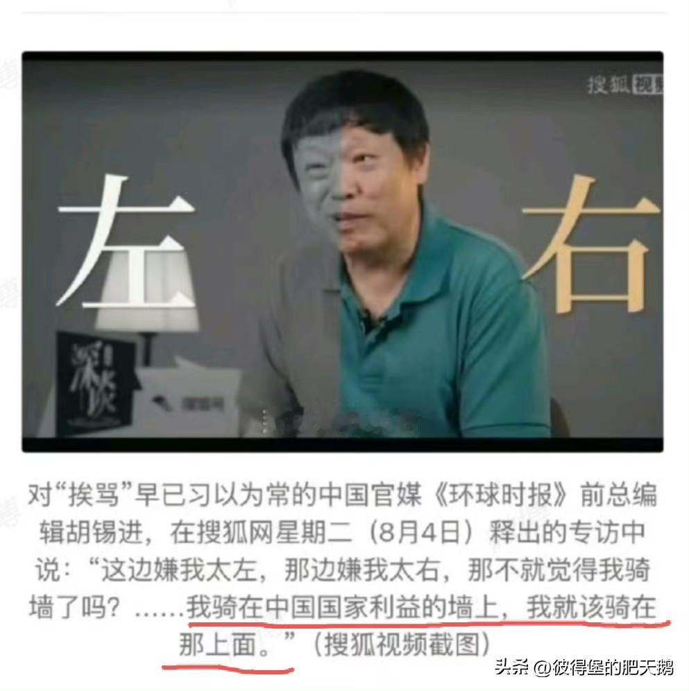 胡锡进这人太反动了，公然叫嚣骑在国家利益之上，你算什么东西，老不死的玩意 ​​​