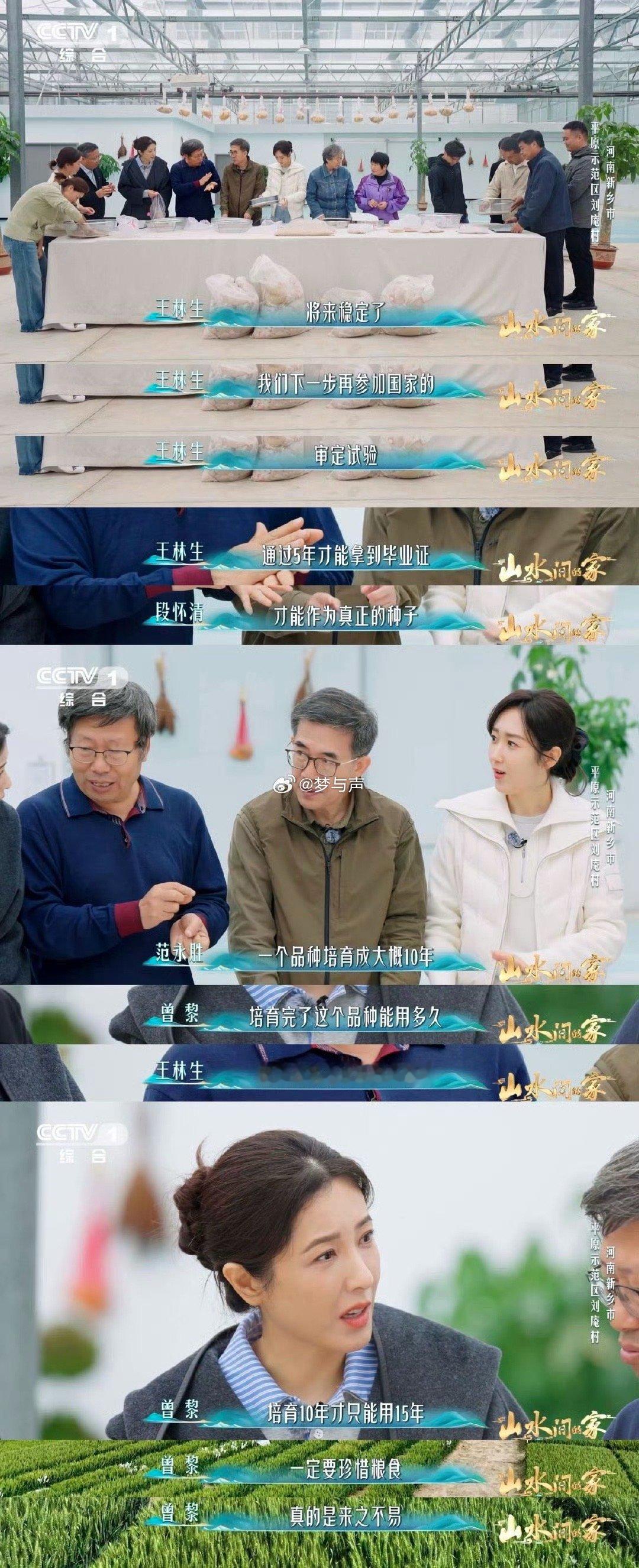 中国科学家花10年培育1粒小麦种子每4个馒头就有1个来自河南 一粒小麦种子，要走