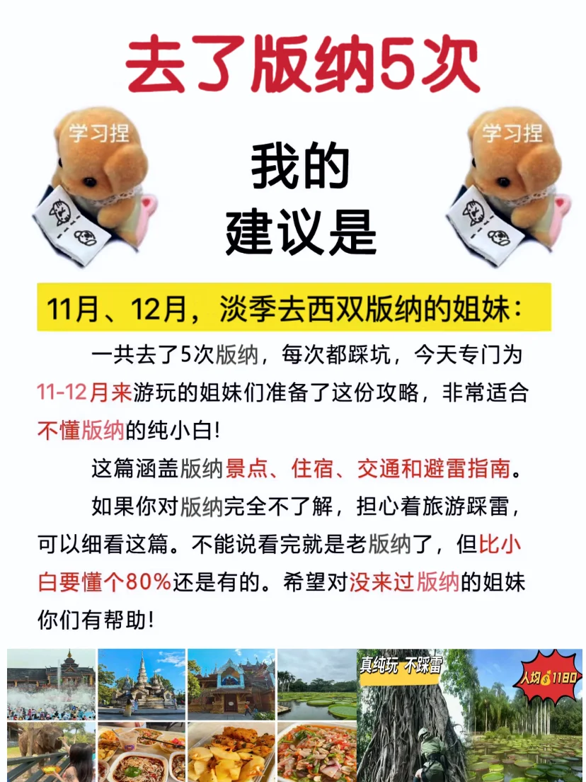 写给11-12月去版纳的姐妹！！超全避雷攻略！