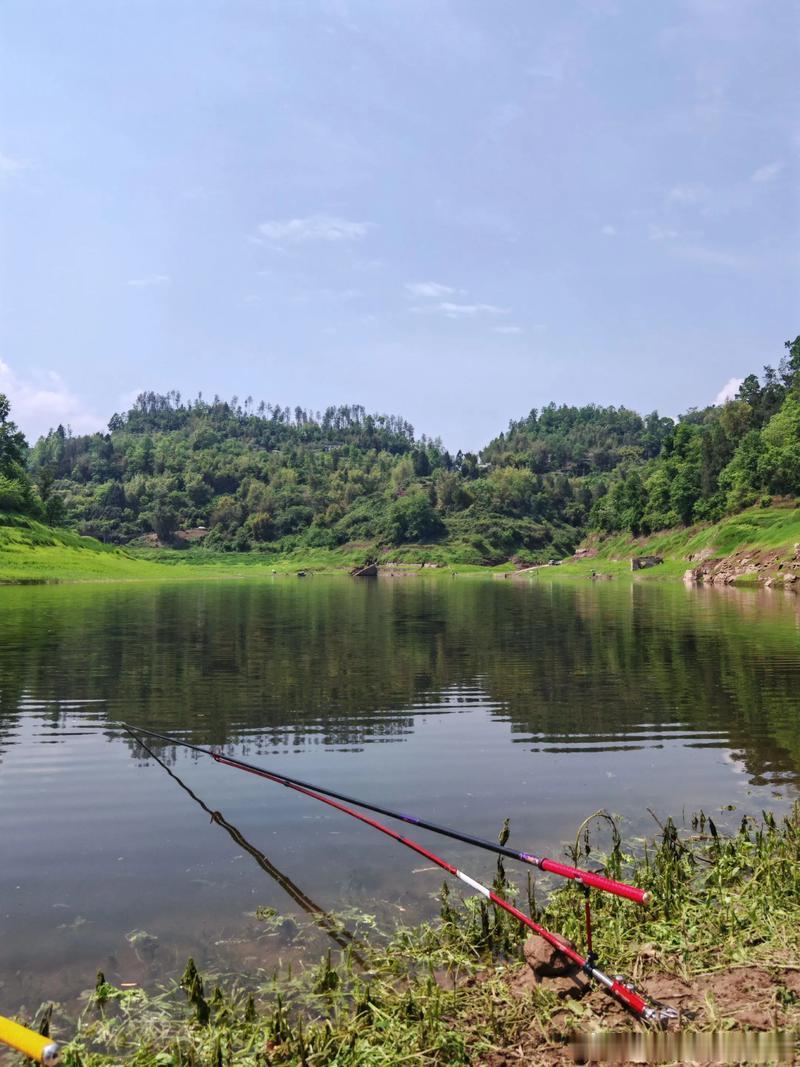 下午茶，钓鱼🎣☁️静日安好日常