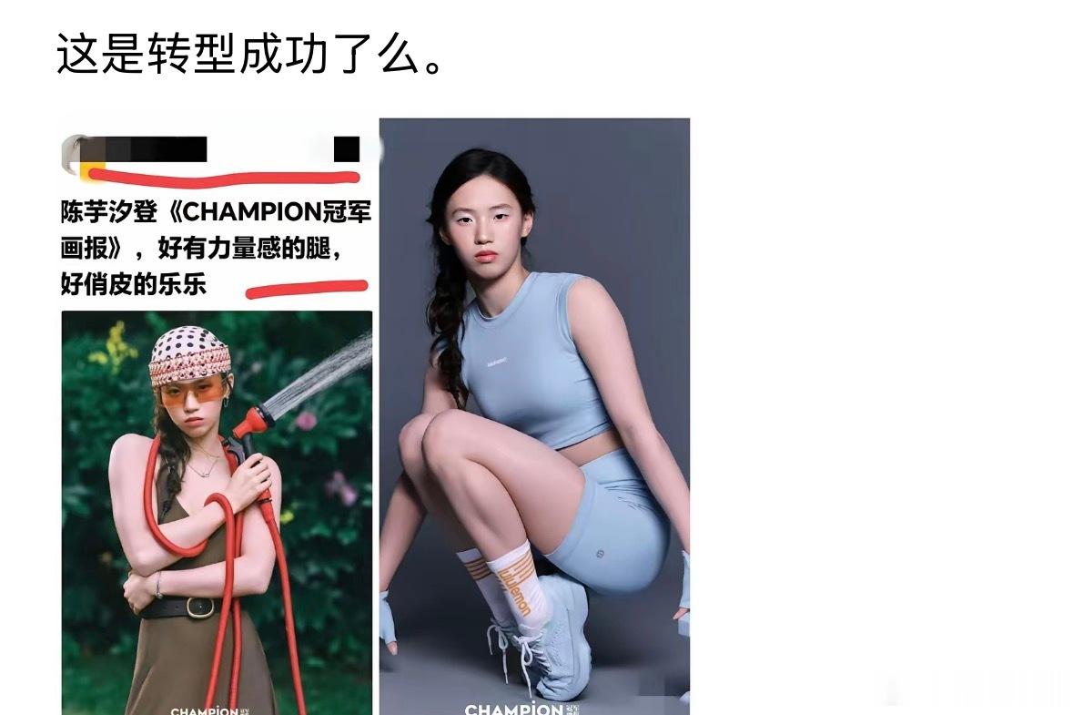 我一直觉得，只要是有争议，就是在测试国人的底线，正常的审美应该是落落大方，老少皆