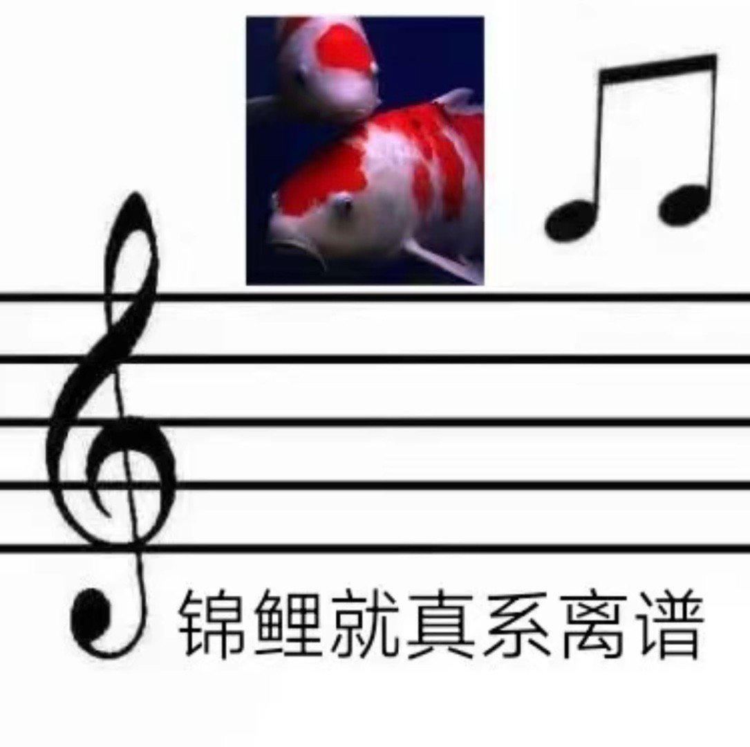 再来一波实用锦鲤表情包 ​​​