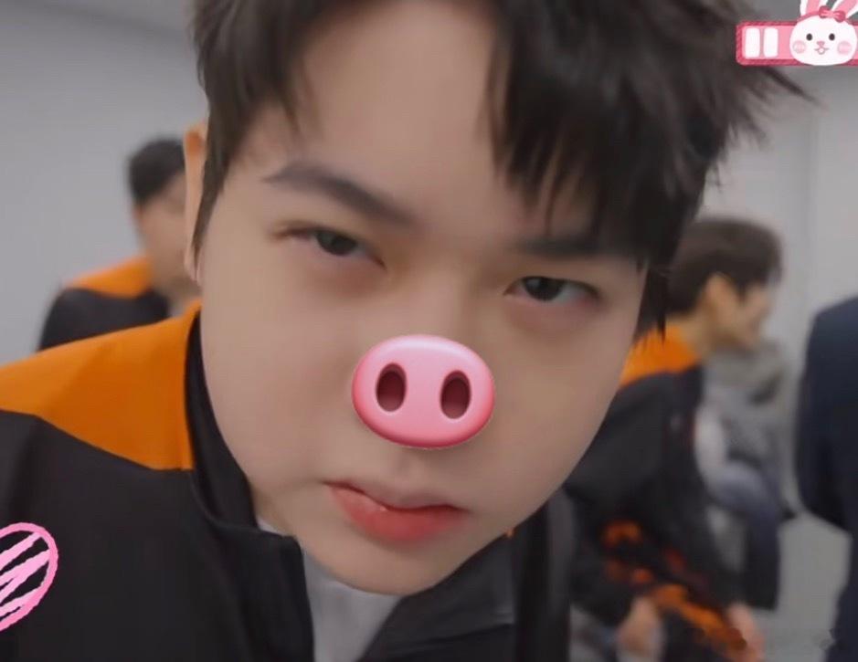 🐽 