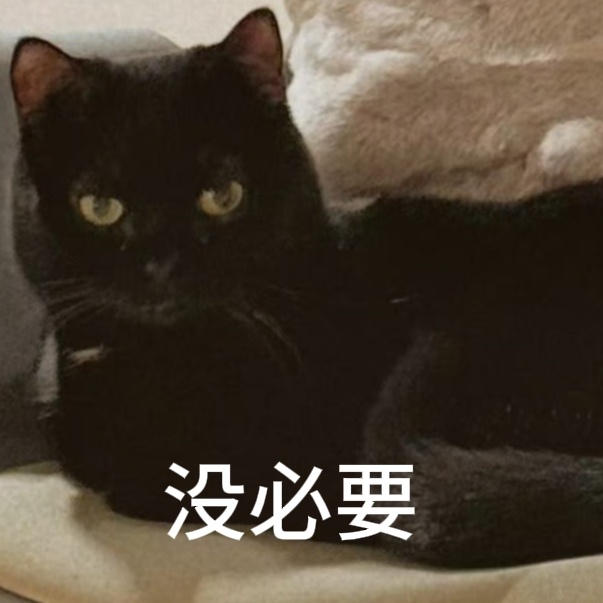 赵露思[超话]  赵露思  哈哈哈哈哈哈哈哈🐈🐶🐟三种不同动物、三种不同态