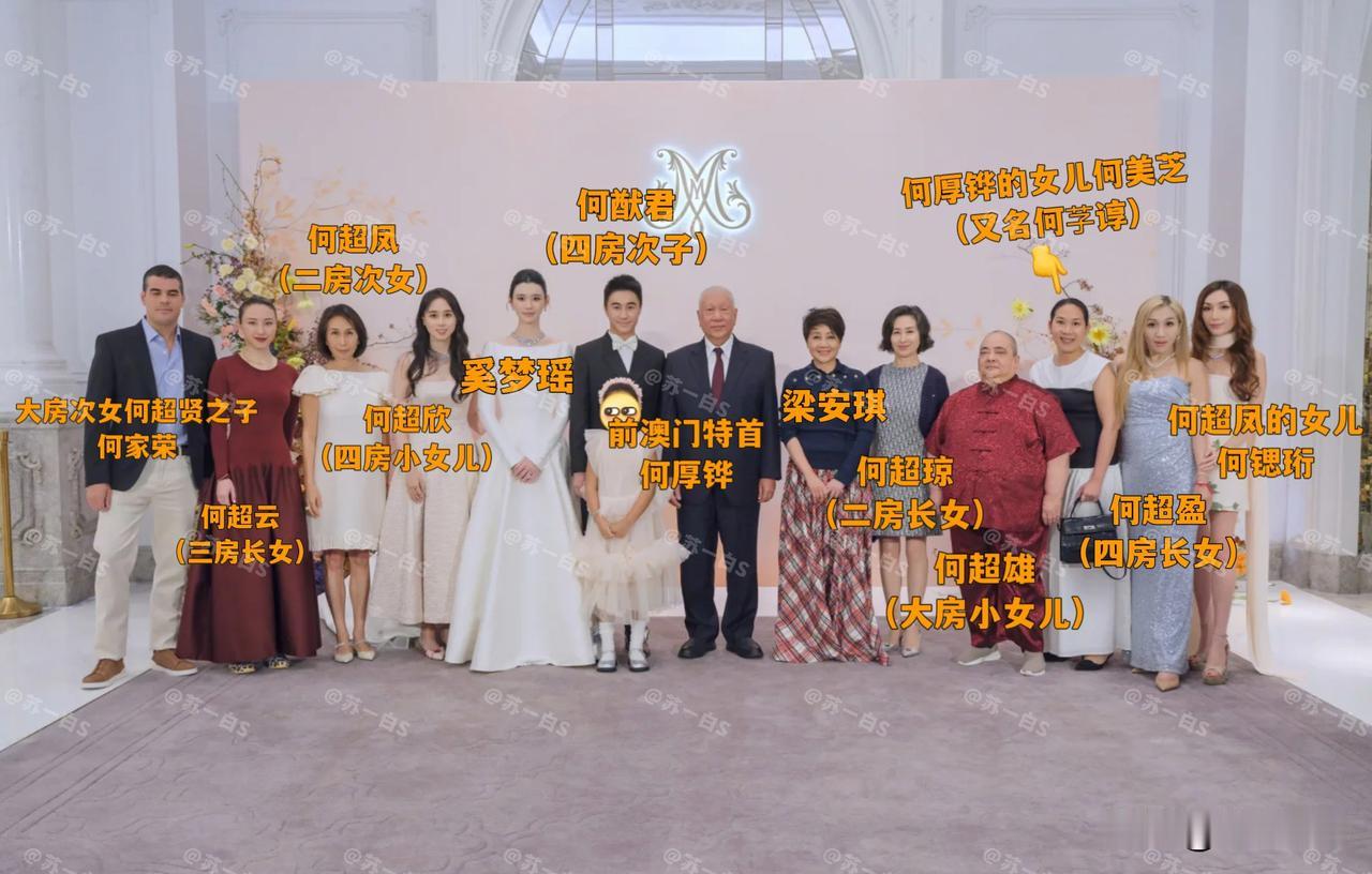何超欣晒出的奚梦瑶跟何猷君的澳门答谢宴上的大合照👇

图一是赌王家族的人跟前澳