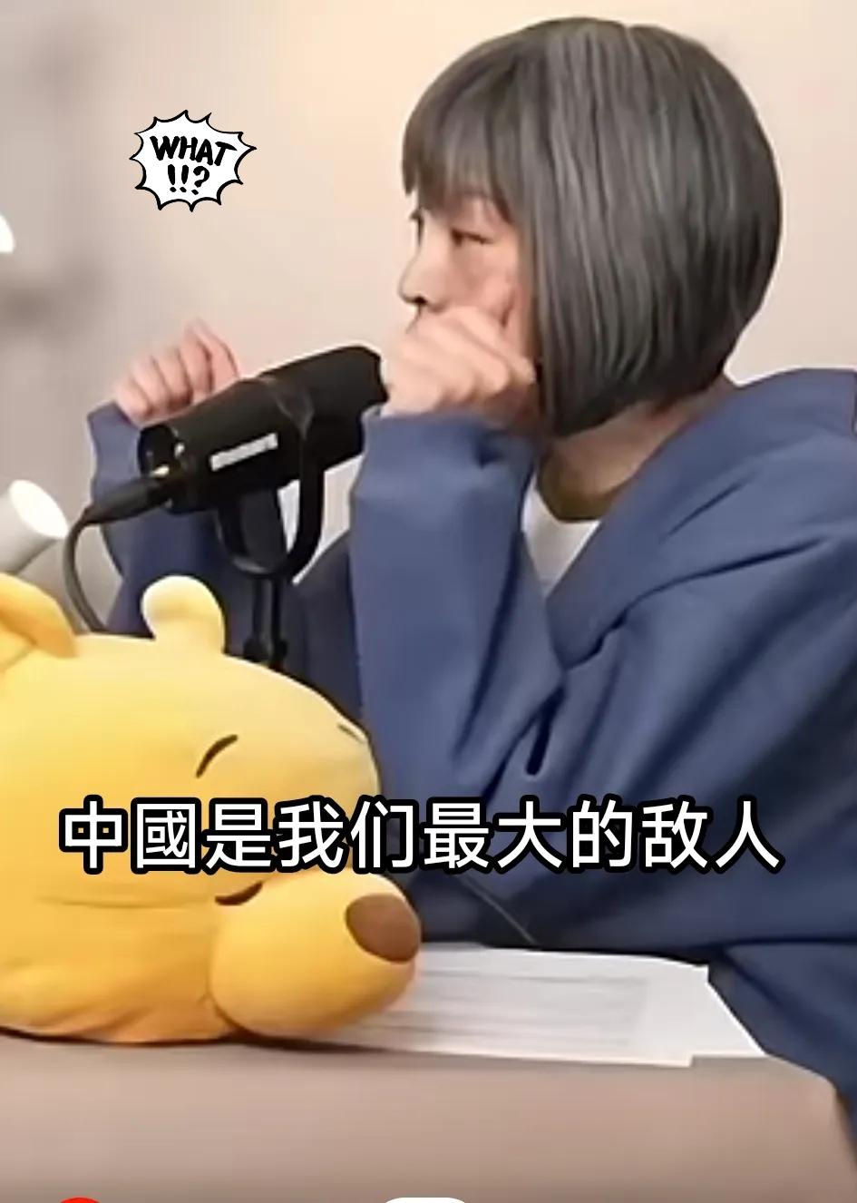 真的太气人！台独顽固分子范琪斐来大陆后，回台竟公然叫嚣“大陆是最大敌人”，嘴脸实