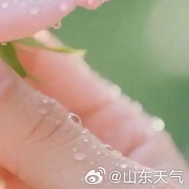 阳光信用  阳光信用 每日一善 任何时候都朝着未来，满怀希望，雄壮有力地前进，这