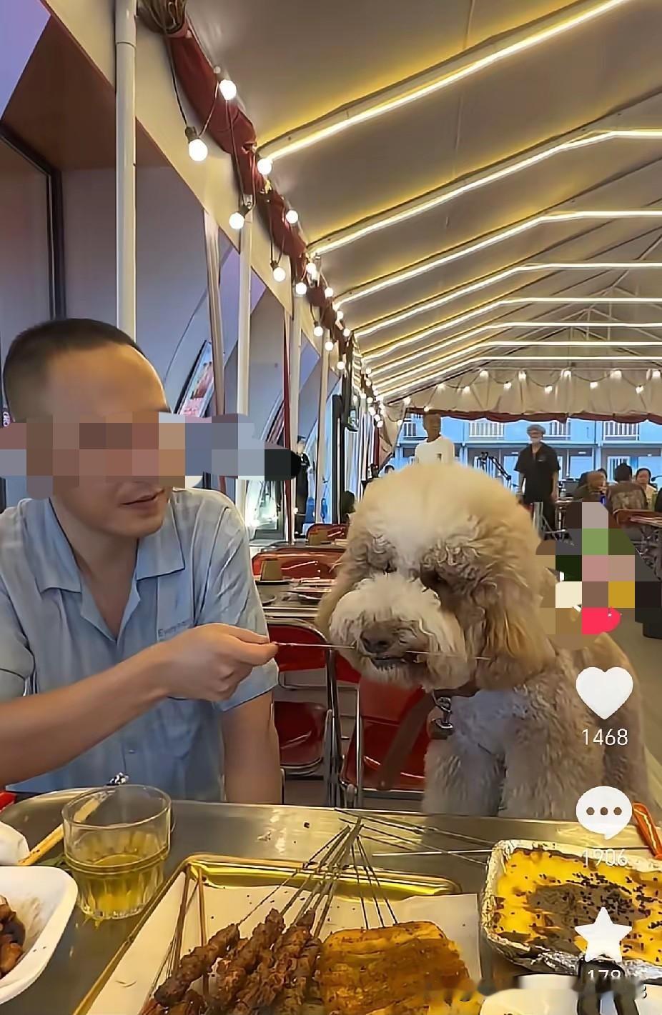 包头这家餐厅可真是摊上事了，估计马上要上热点。说这是给人吃的吧，狗都直接上桌叼肉