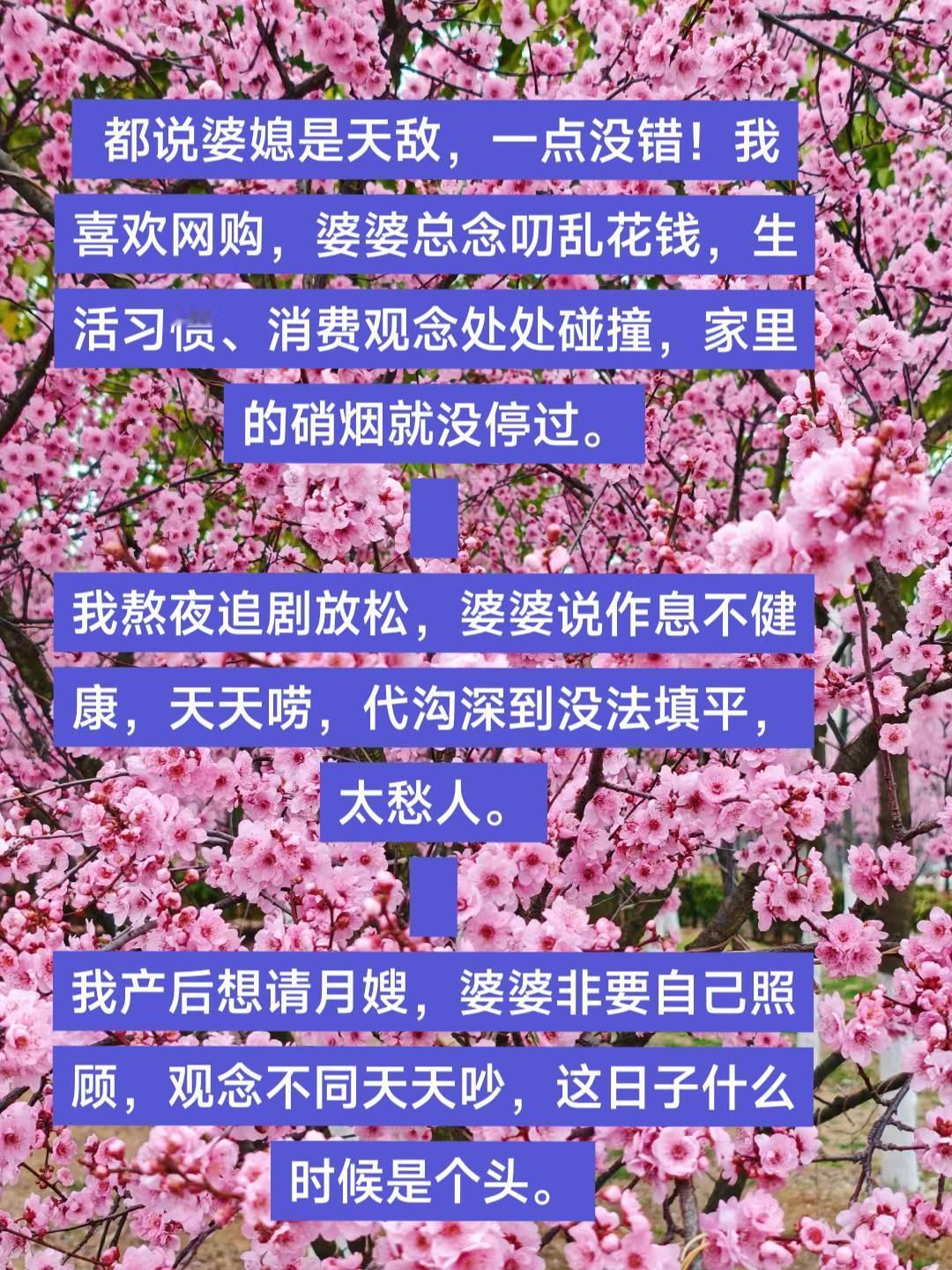 1.都说婆媳是天敌，一点没错！
我喜欢网购，婆婆总念叨乱花钱，生活习惯、消费观念