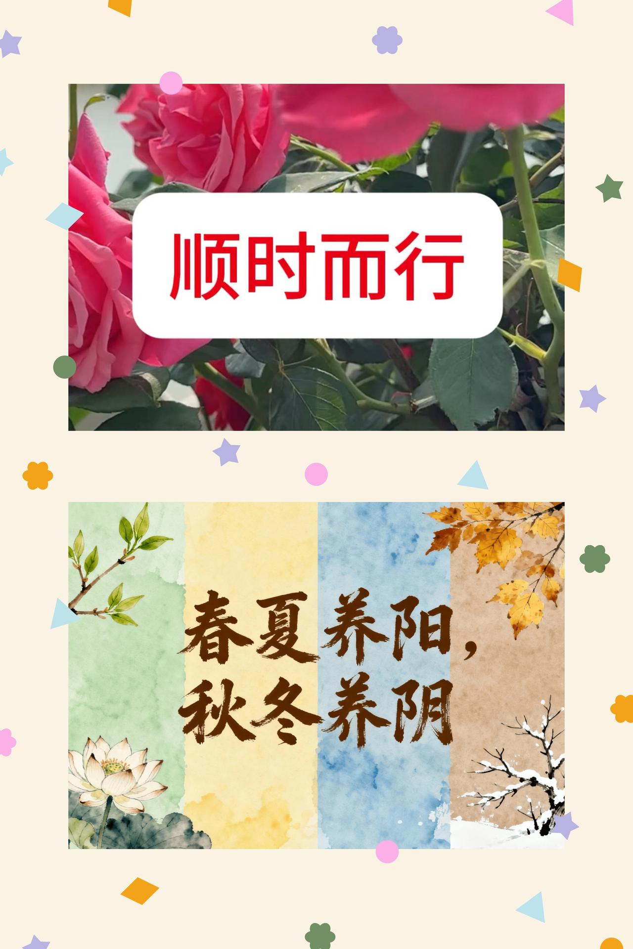 顺时而行，随心安渡
顺着时间的脉络走，不焦急，不强求。很多事情，等风来，不如追风
