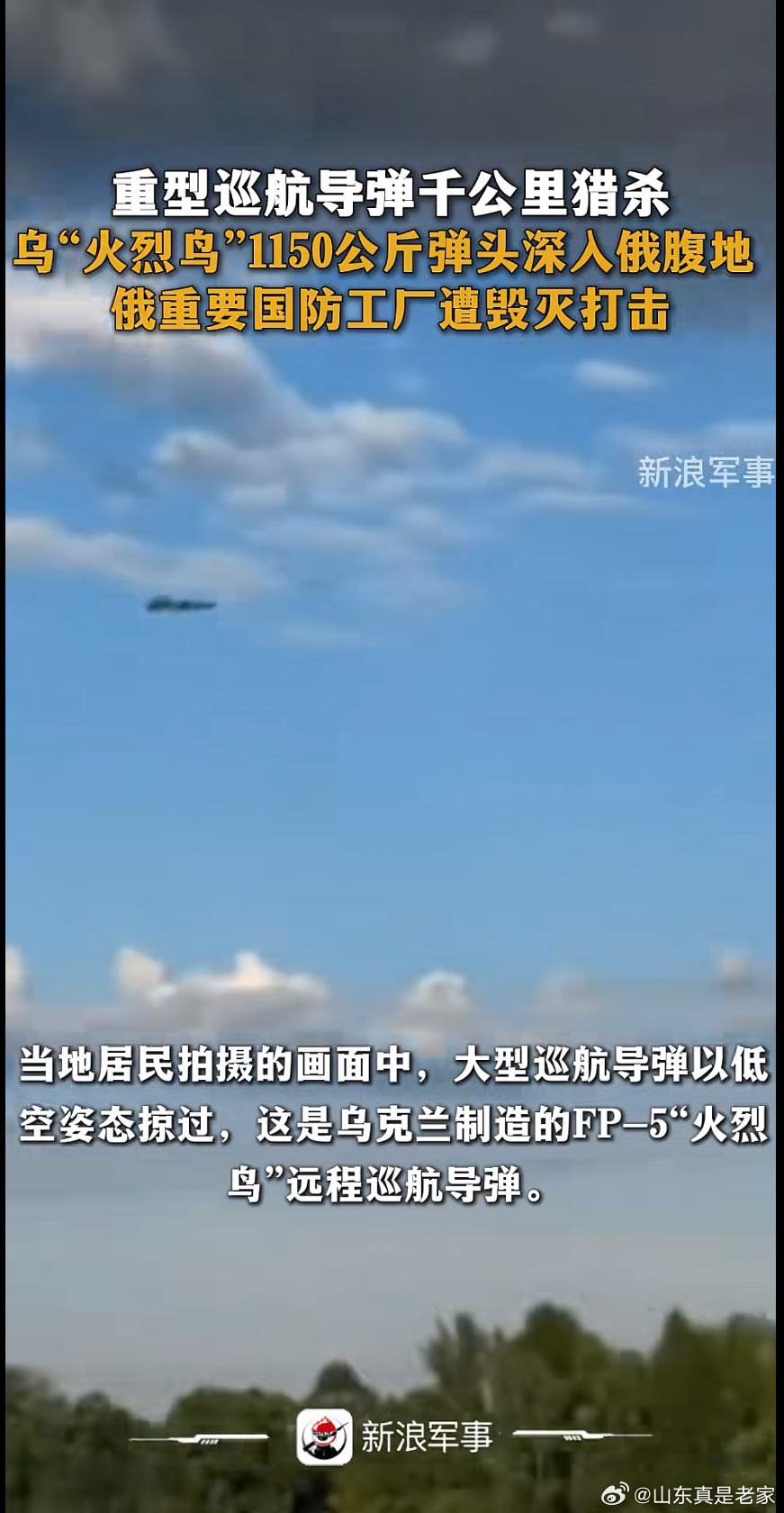 乌克兰这颗导弹，整挺好。就问大鹅疼不疼～截图自：新浪军事。 