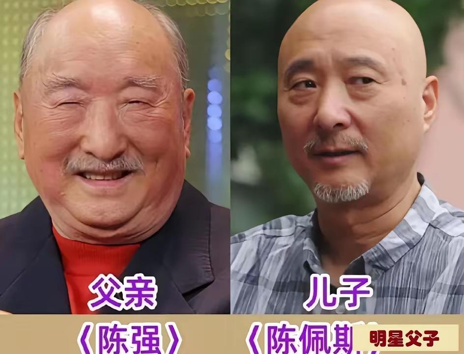 子承父业的杨玏
子承父业的陈佩斯
子承父业的刘思博
三位子承父业的星二代，你喜欢