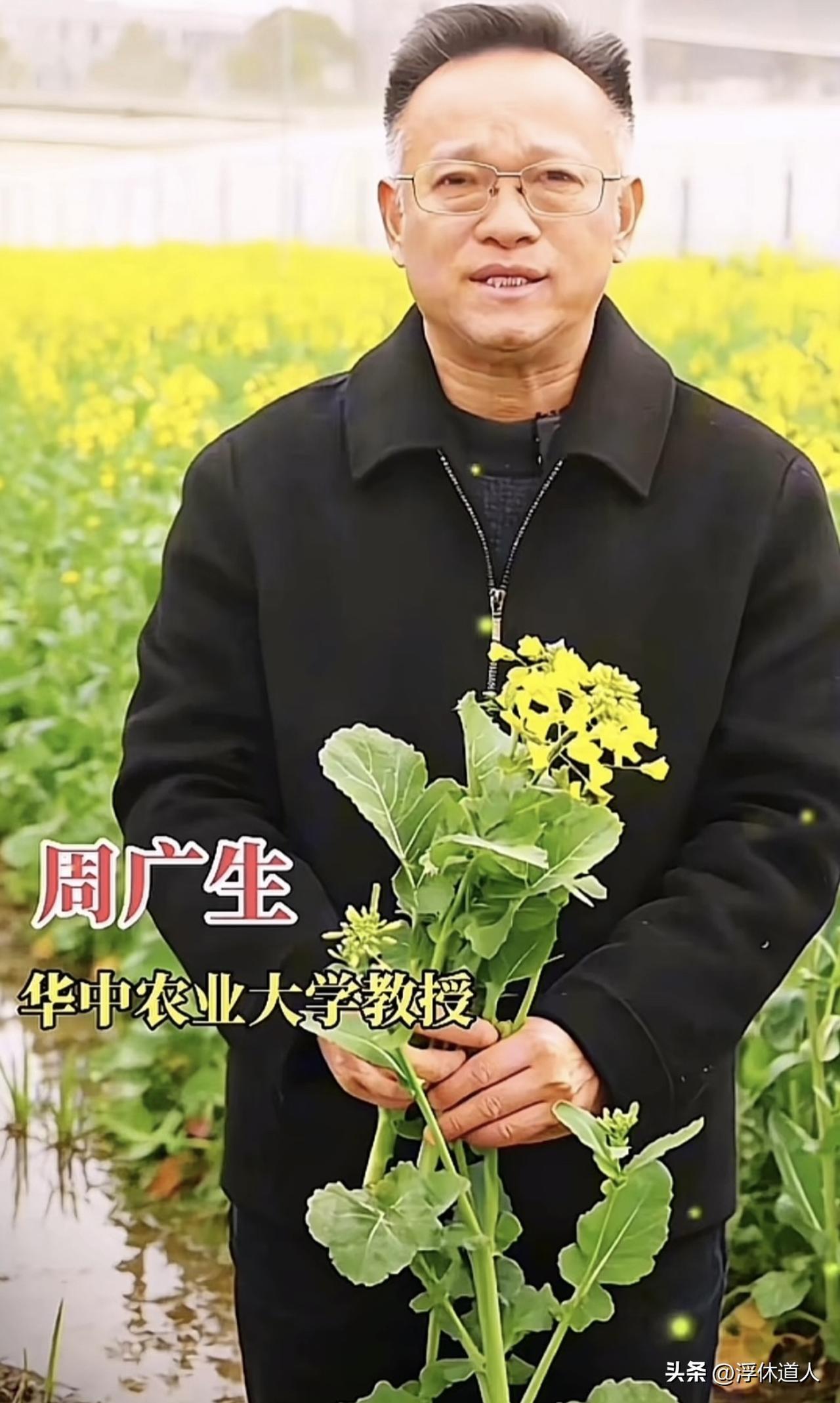 喷洒农药这个事，网上有很多的视频说：免费喷洒农药，结果死了很多的蜜蜂，有的农户甚