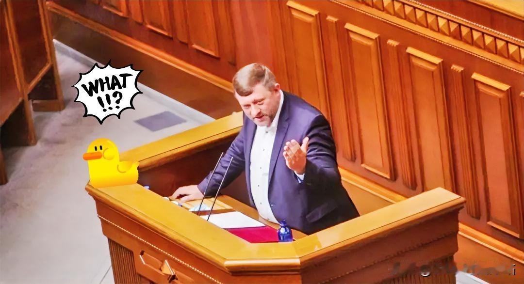 快讯！
乌克兰消息！

当地时间12月11日，乌克兰议会第一副议长科尔尼延科终于