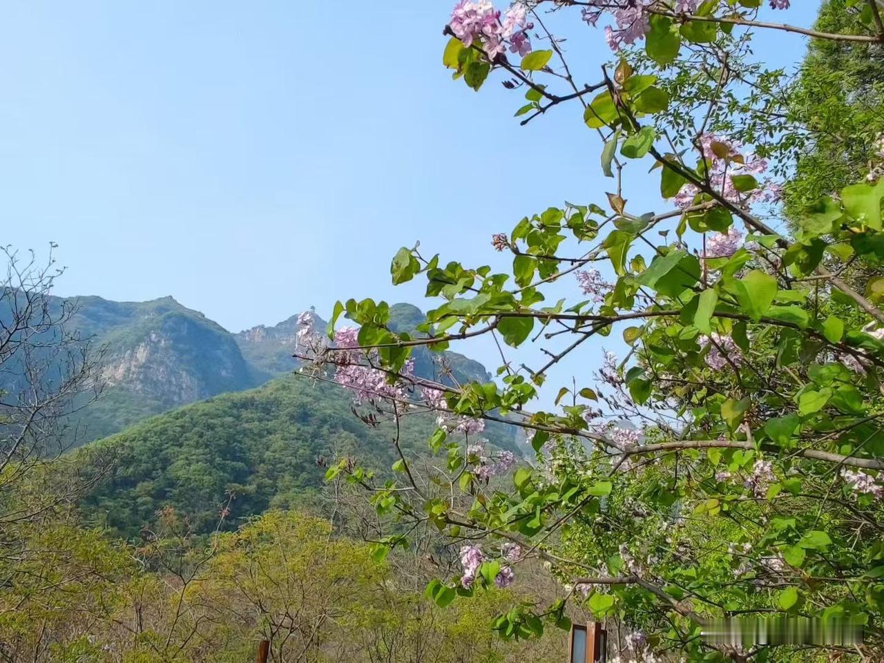 山西游（五）
云丘山康家坪古村落
成都市老年人协会摄影专委会
图文原创  康红鹰