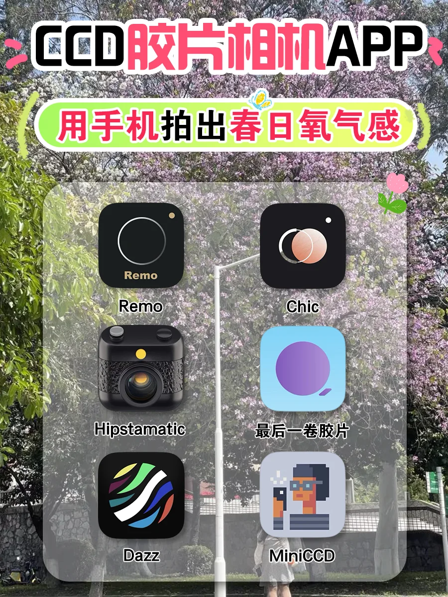 镜头下的春和景明|在春天再次爱上CDD质感