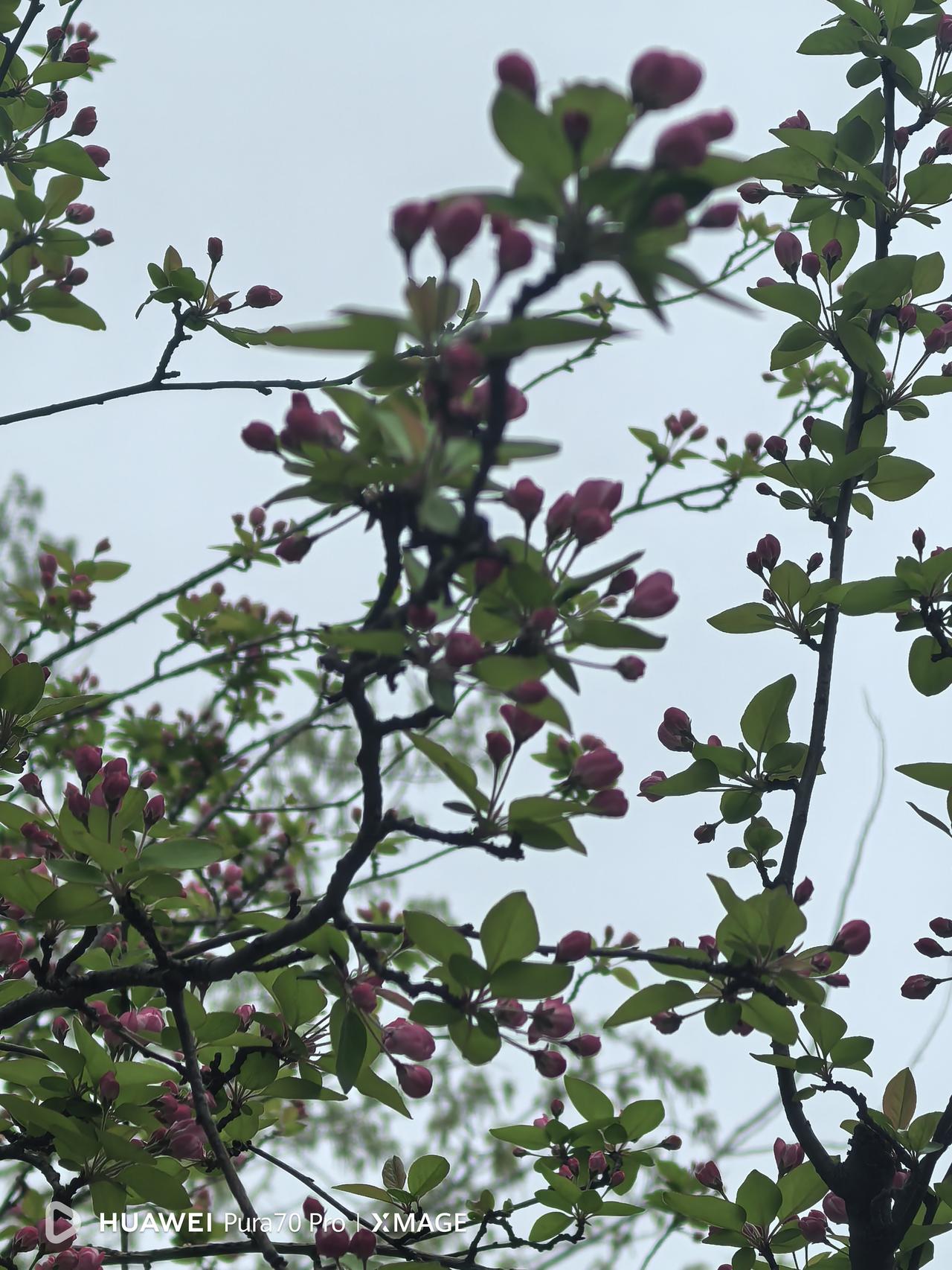 这坑踩的有点冤！
今天在手机上下载一个小软件，不料反复弹出一个个弹窗，要求填入验
