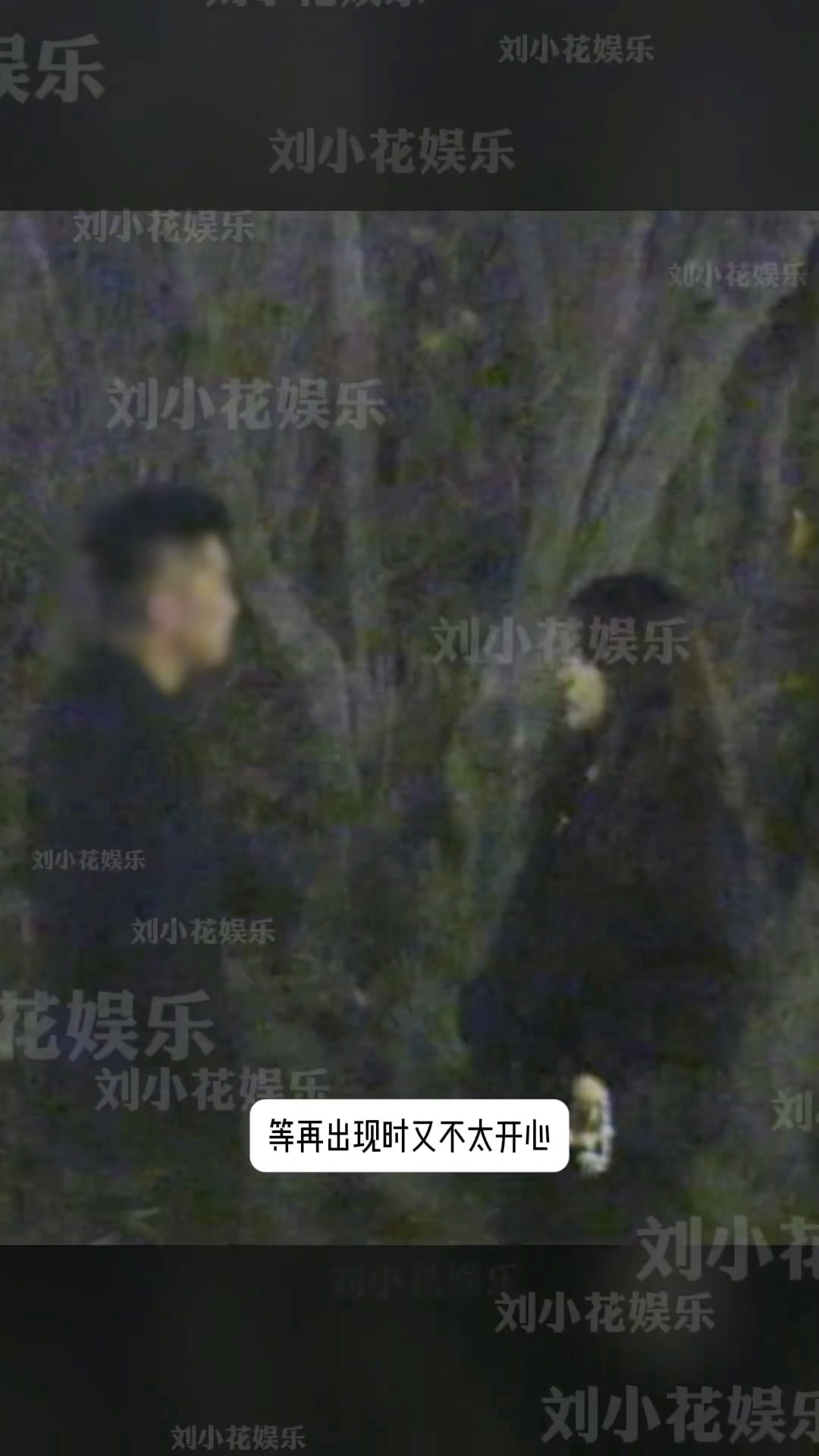 狗仔拍到疑似张佳宁恋情曝光，两人在路边吵架。张佳宁路边和男友吵架