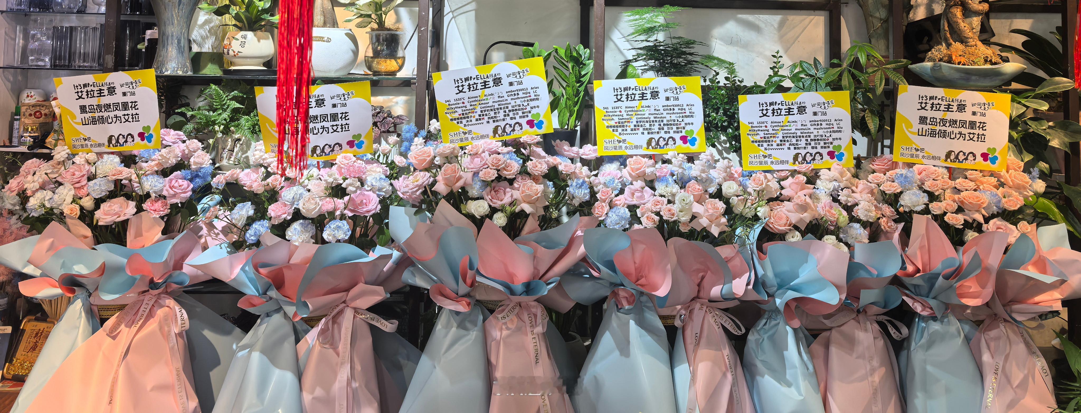 S.H.E吧乘风至鹭岛🦩🌺「鹭岛夜燃凤凰花，山海倾心为艾拉」晚风与繁花共赴这