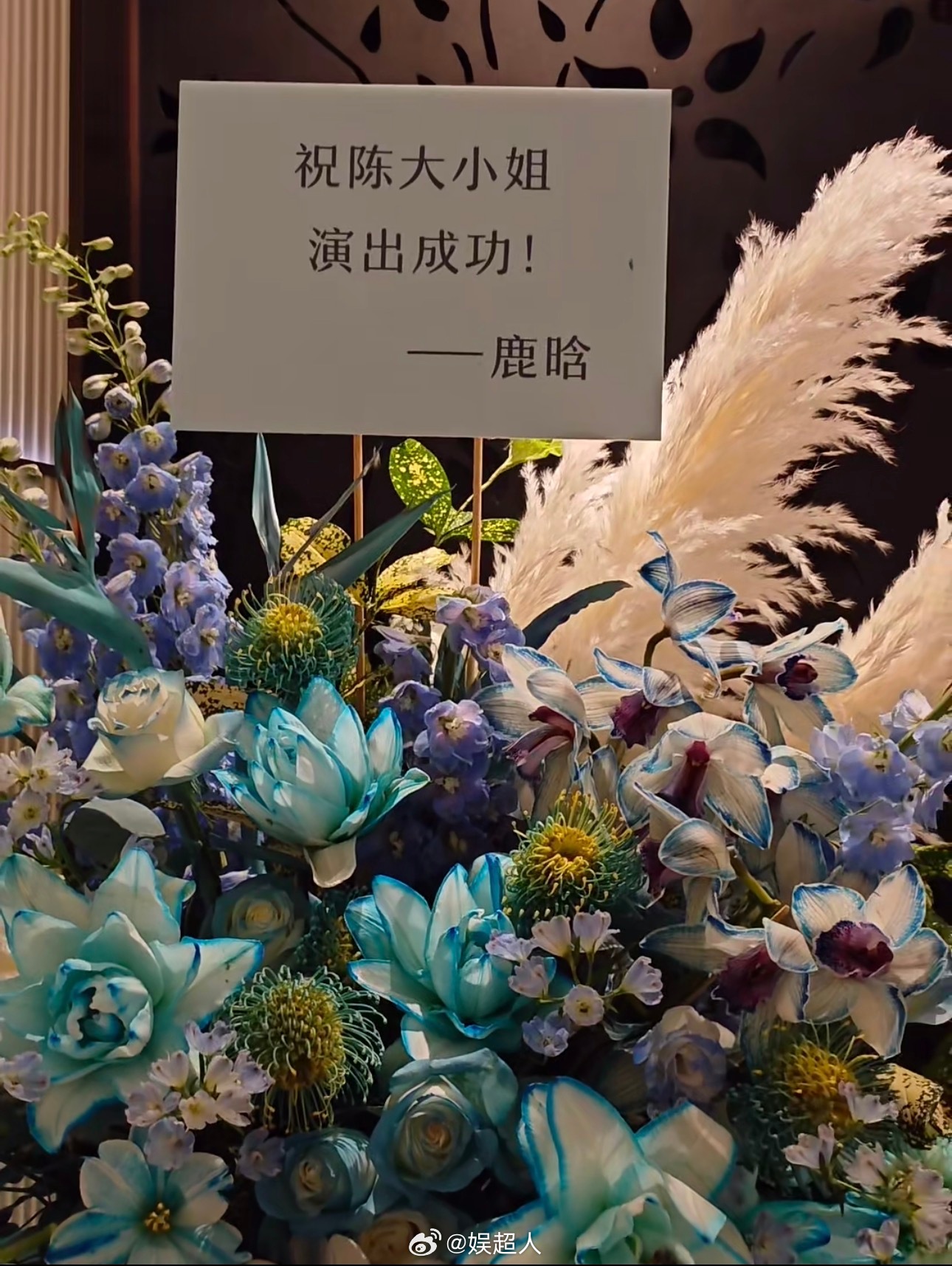 鹿晗送陈赫花篮鹿晗送陈赫的花篮上有芦苇 鹿晗给陈赫送花篮啦💐花篮上还有芦苇