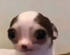 朋友喝多了就这样 