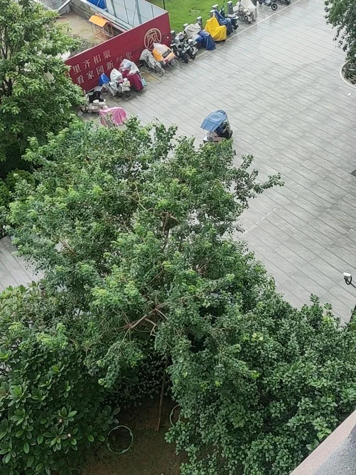 小区门口那几辆电动车，看似平常，实则可能藏着大问题。就像石狮市中骏·悦景府小区，