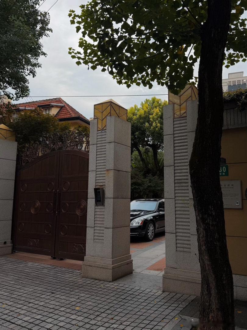 又是积攒到了18张都发不下了才想起来发的近期所见 前面这一周🙈 上海