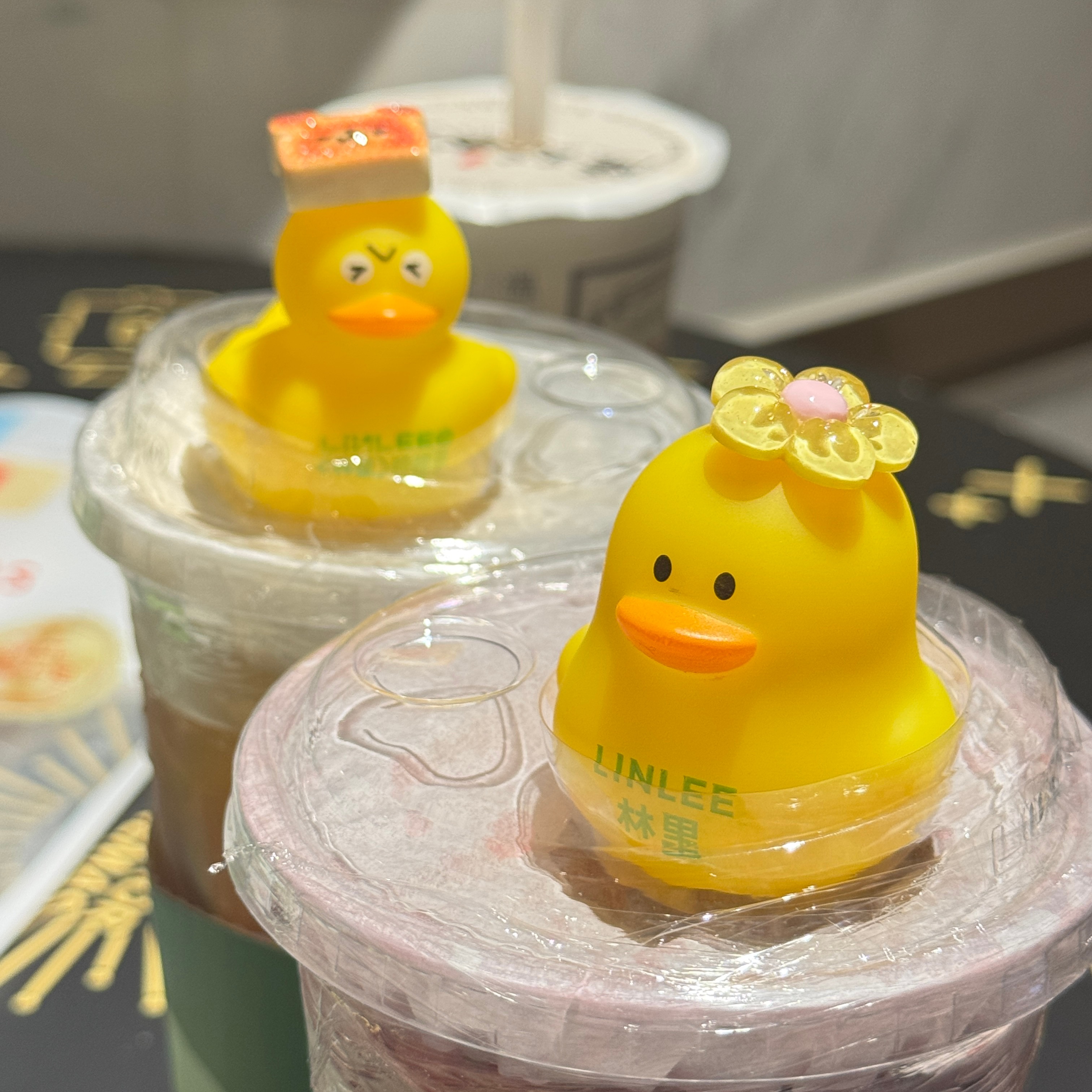 hhhh最近这个小鸭子是越来越可爱了 