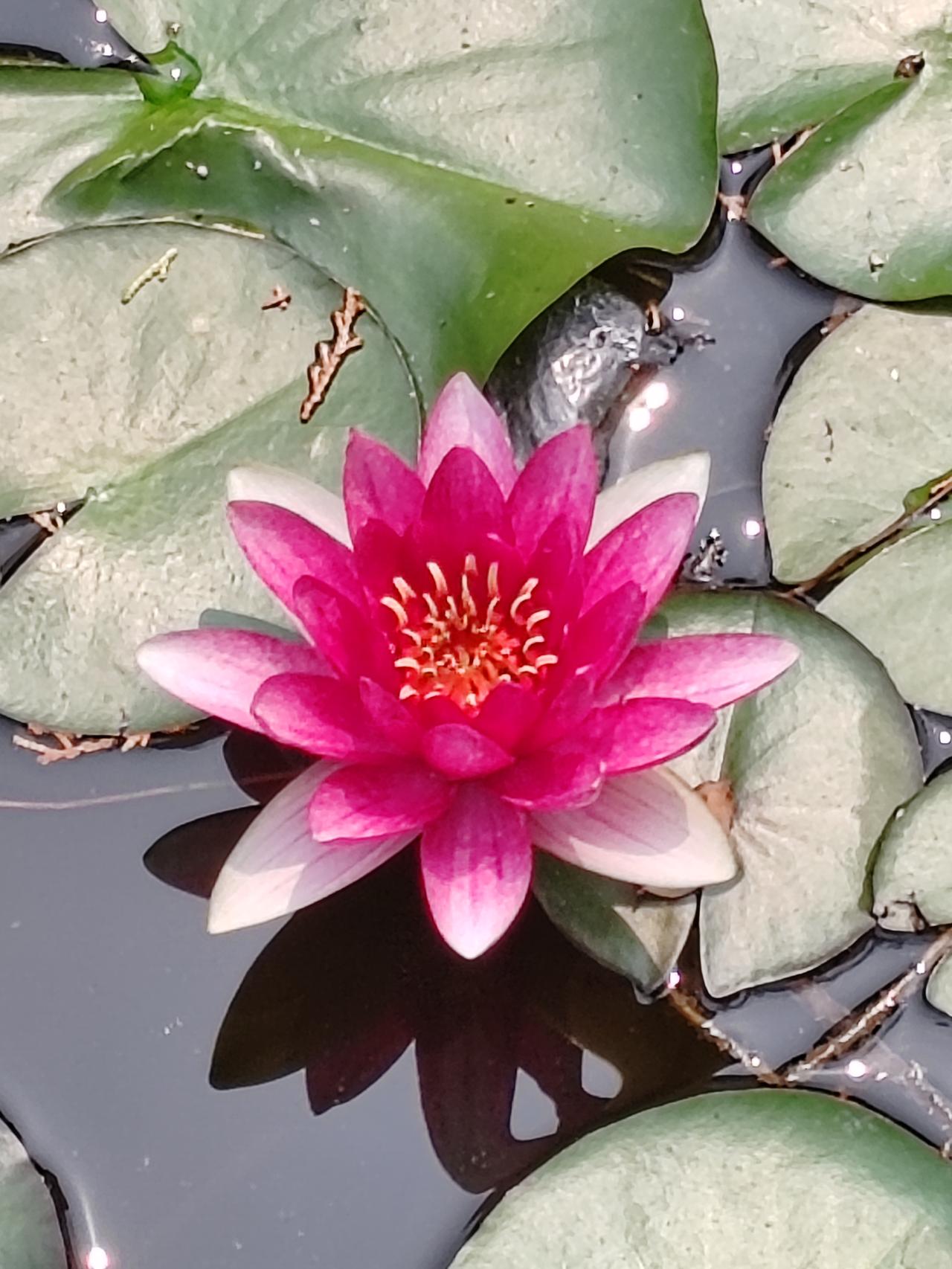 生活中，好多人活得累，就栽在“追求完美”上。我身边就有人总自我内耗，觉得自己这没