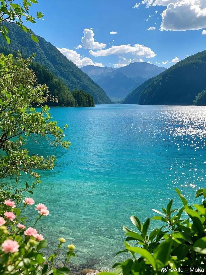 壁纸 花开临水，山静湖清，目之所及皆澄澈，心向山野，自在安然 