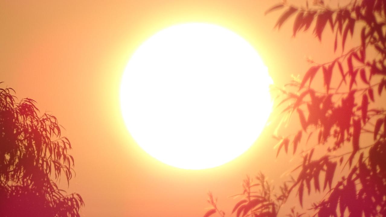 01

选址，是第一道坎。

陈赓带着苏联首席顾问奥列霍夫，从北京飞出去，一站一