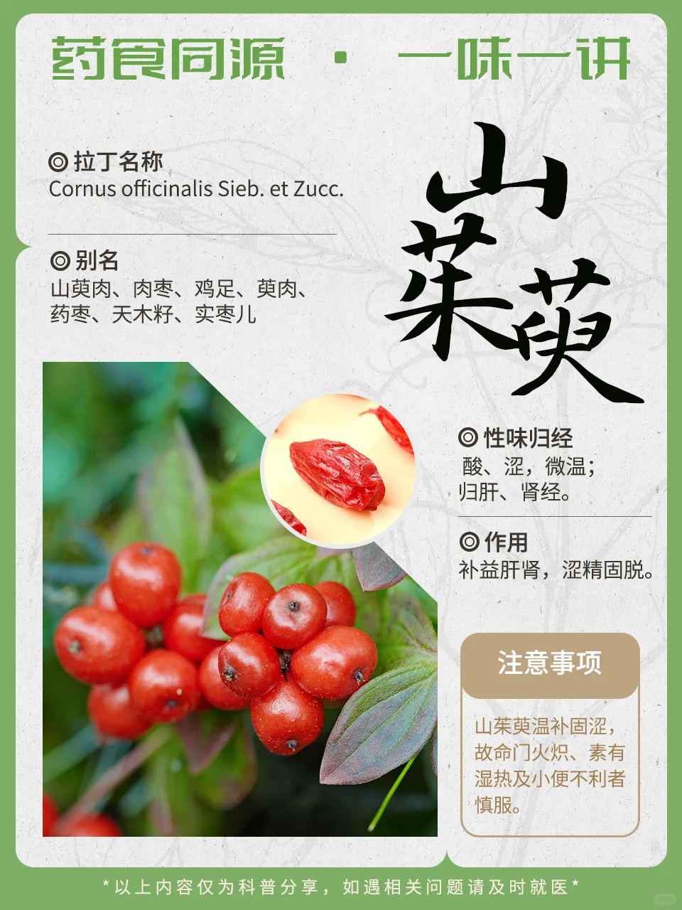 口干？夜不能寐？看看药食同源山茱萸~