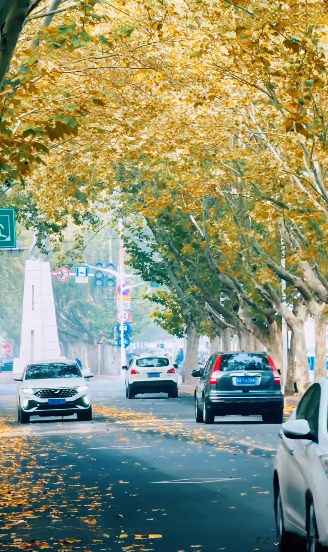 我认为合家出游