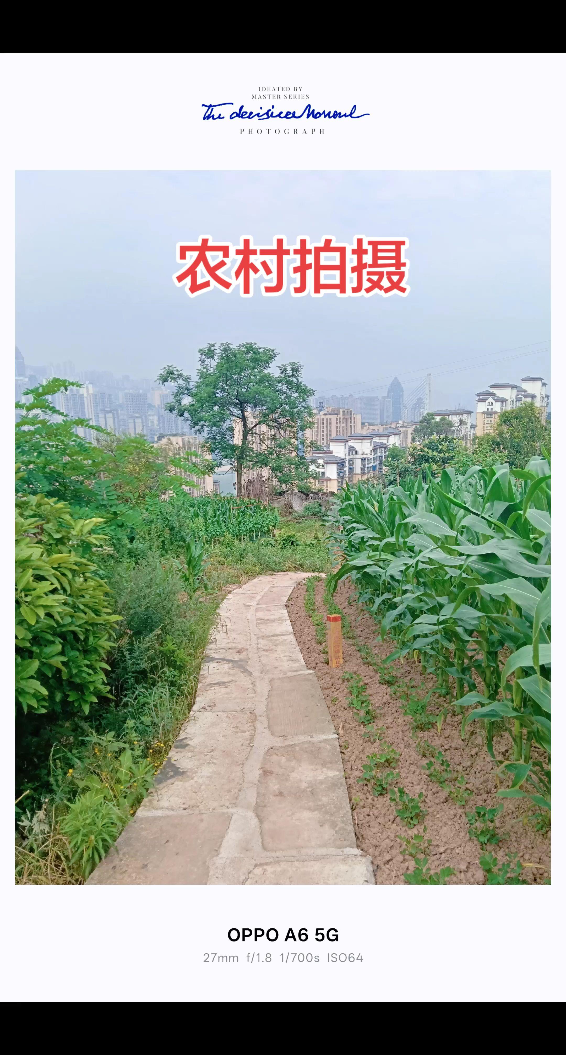 临床作品乡村实拍 农村…展开