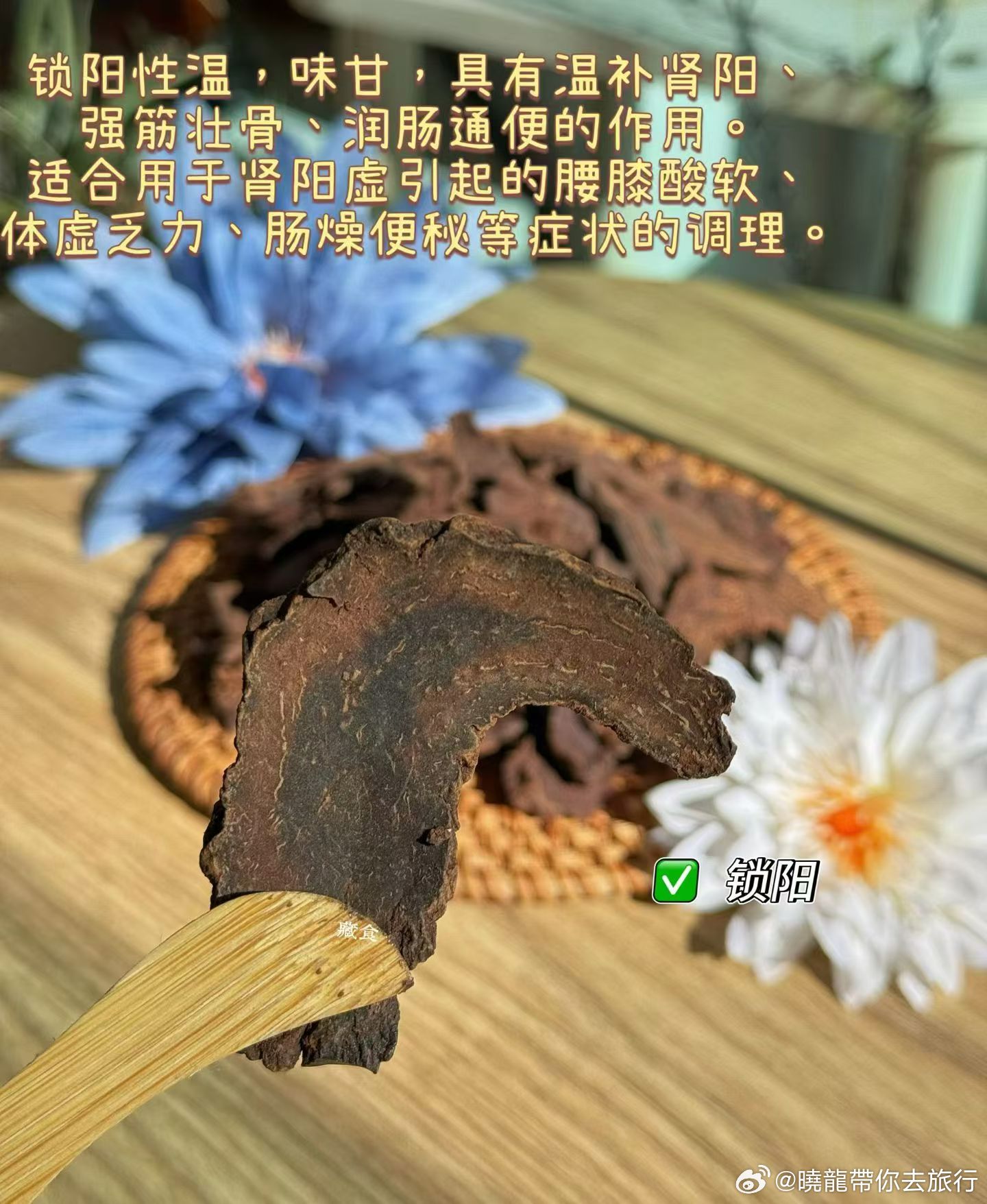 锁阳【性味与归经】 甘，温。归肝、肾、大肠经。【功能与主治】 补肾阳，益精血，润