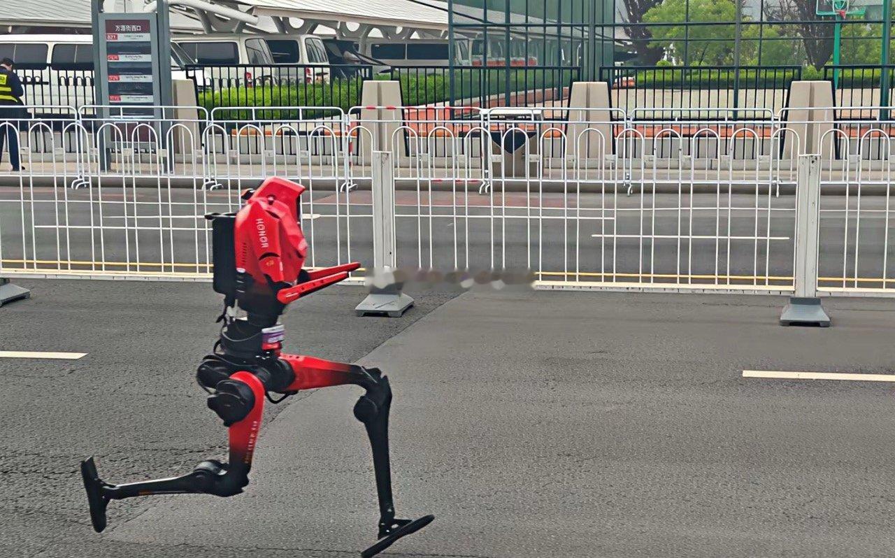 嗖的一下过去了……太快了。荣耀人形机器人真棒…...太紧张了，最后冲线时，摔倒了