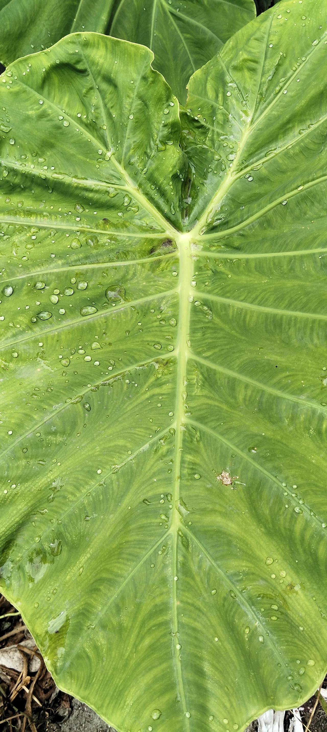 谁都想过上美好的生活，但婚姻终究是柴米油盐酱醋茶的日常，少些不切实际的幻想，才能