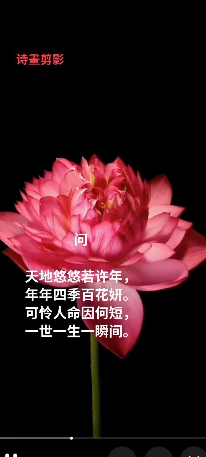 天地悠悠若许年，年年四季百花妍。可怜人命因何短，一世一生一瞬间。
·凌霄、菲油果