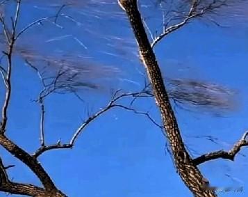 北方人集体崩溃！
春节返程撞上11级大风+强沙尘，太煎熬了！
 
春节返程本来就