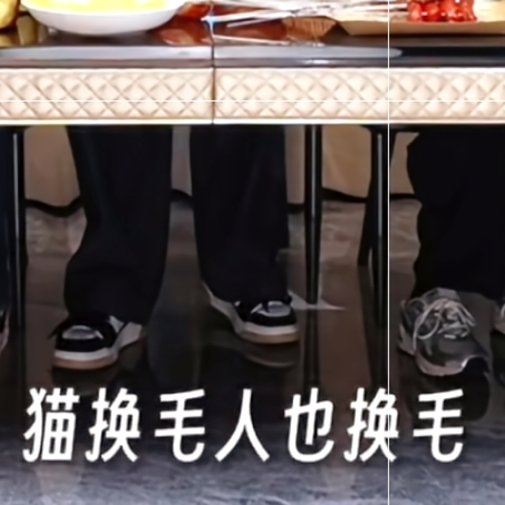 小浩翔把人到换季总掉头发类比成 人像猫一样到换毛季了（萌。 
