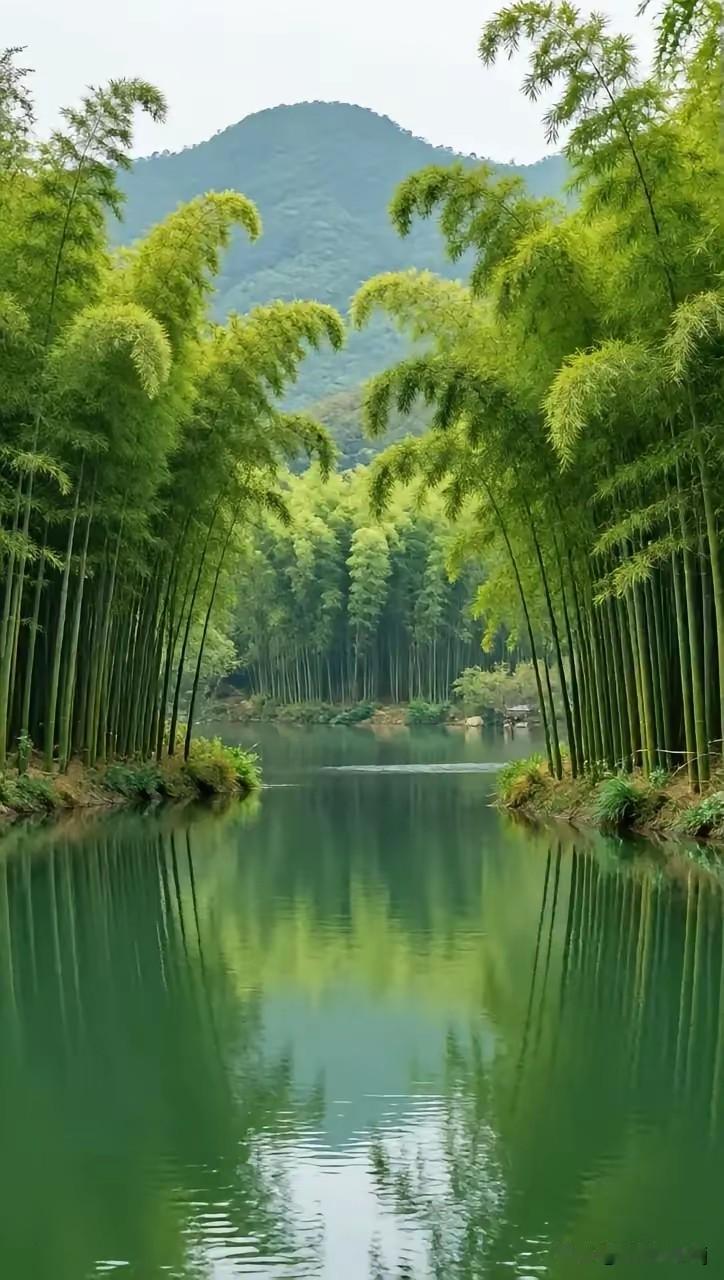 看看你相册的绿色植物