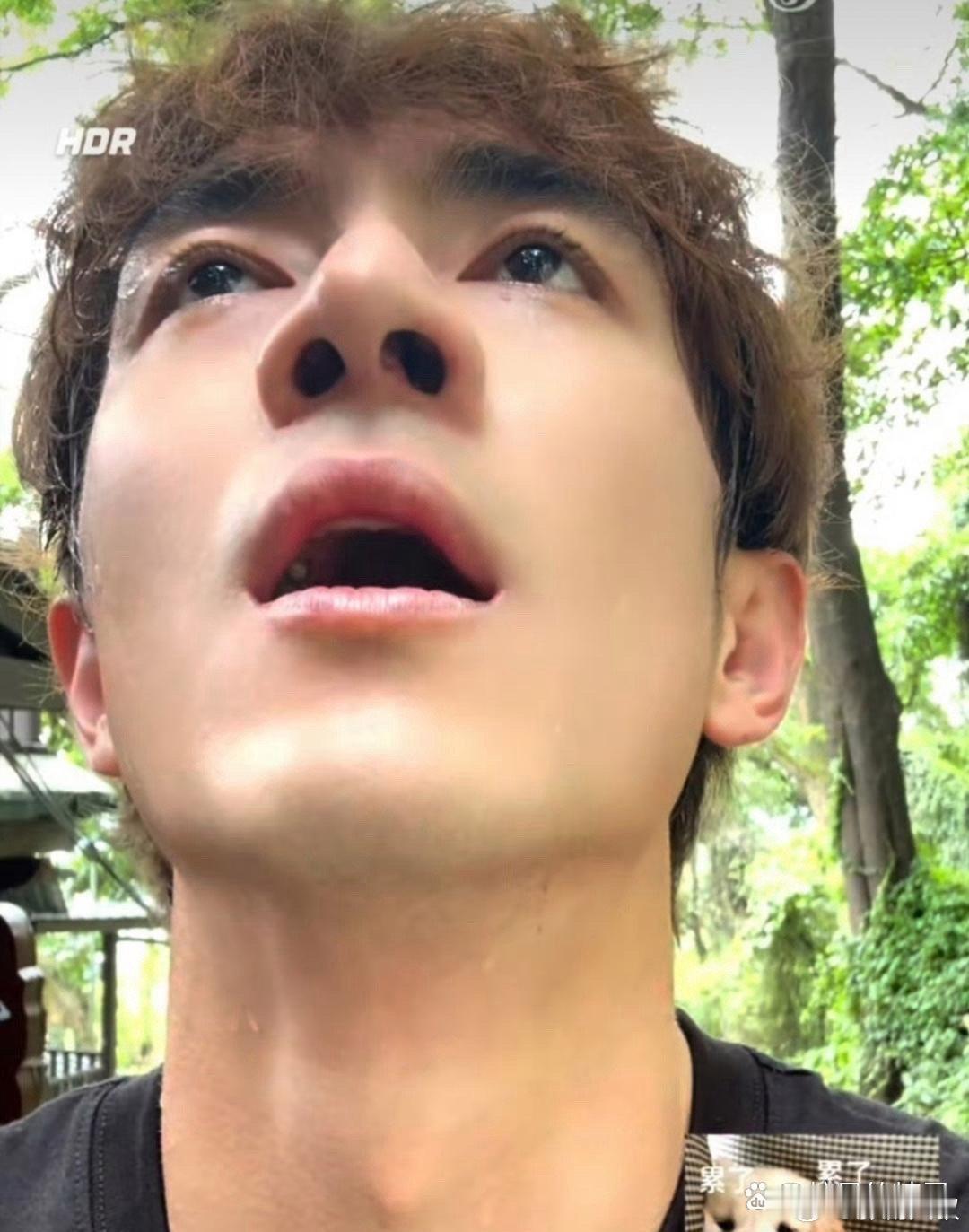 林更新的颜值，这回是彻底get到了，素颜真好看，满头大汗也一点不影响他的帅气 ​