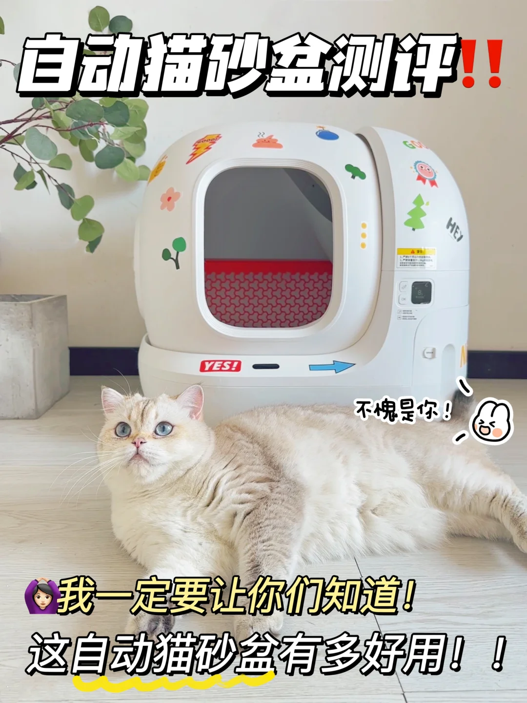 听说你们都在问这个自动猫砂盆？我先用一步