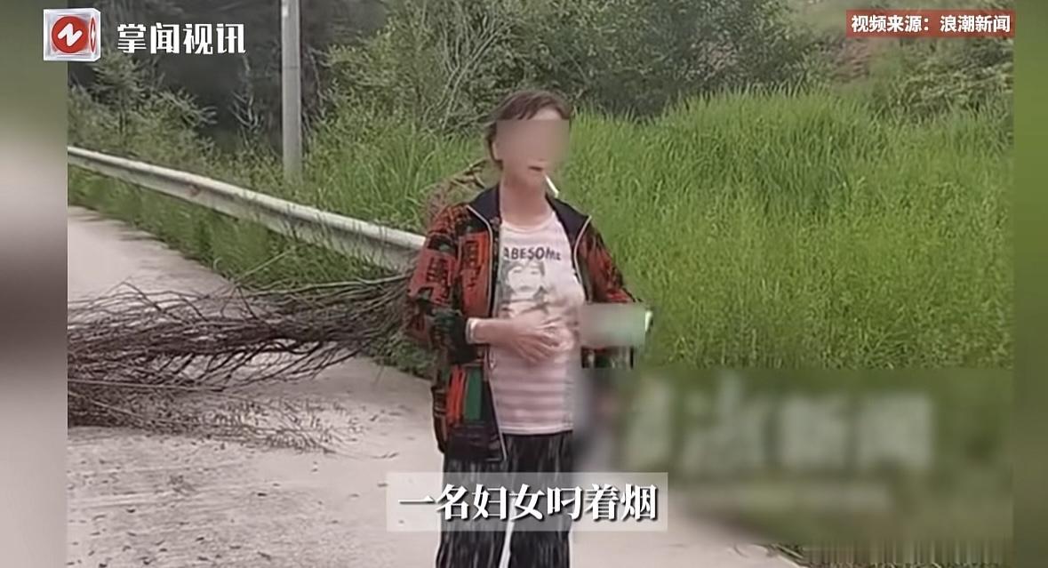山西太原，一大姐承包了村里一片山林，她发现，附近好多人都来山里抓知了，女子脑瓜一