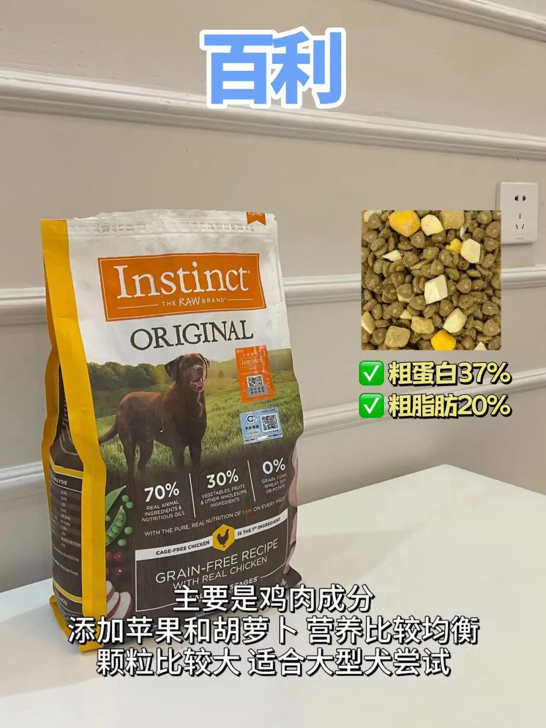狗粮测评省流版，六款狗粮教你怎么选