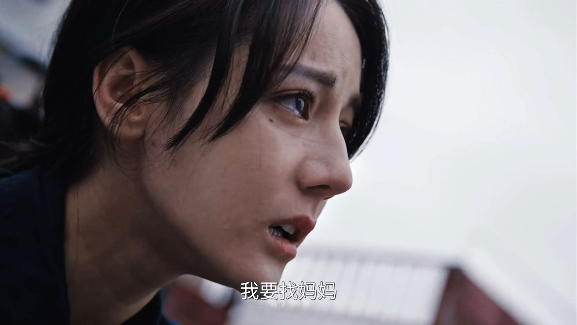 “我不愿看到你流泪的眼睛”💧💧💧利剑玫瑰 ​​​