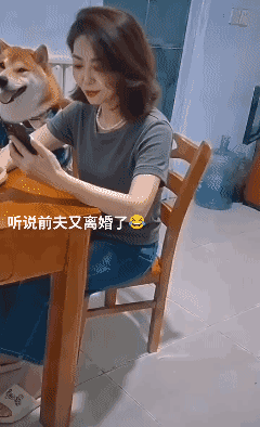 前夫又离了？这瓜保熟吗？🍉