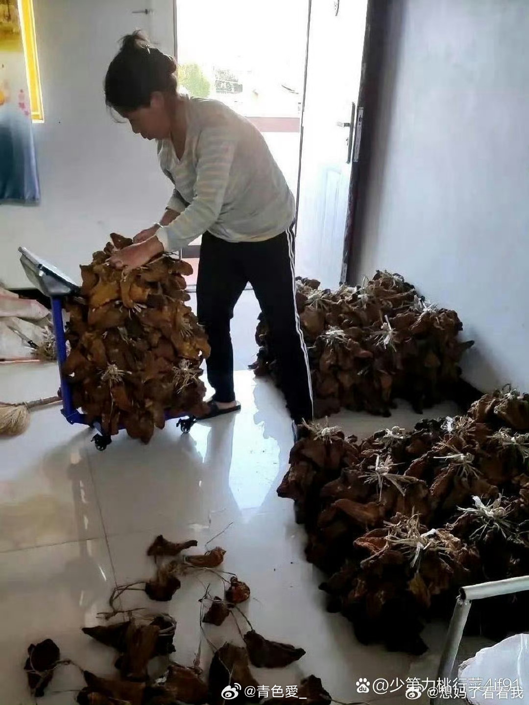 这才是真正的大户人家，太让人羡慕了 ​​​