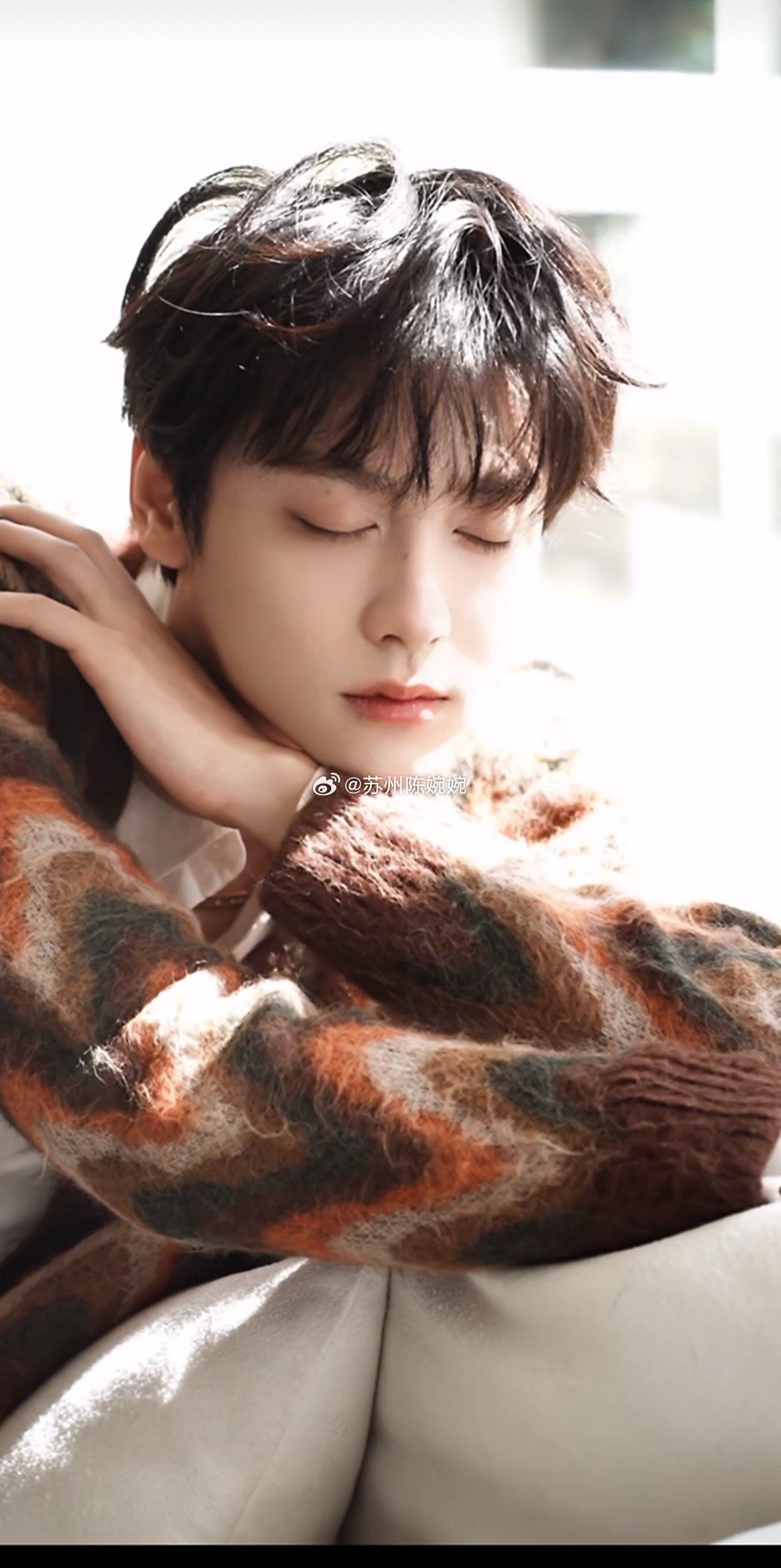 田栩宁 ☀️ 今田天气晴 苔痕上阶绿，草色入帘青🍃人倚南窗坐，闲看云去来